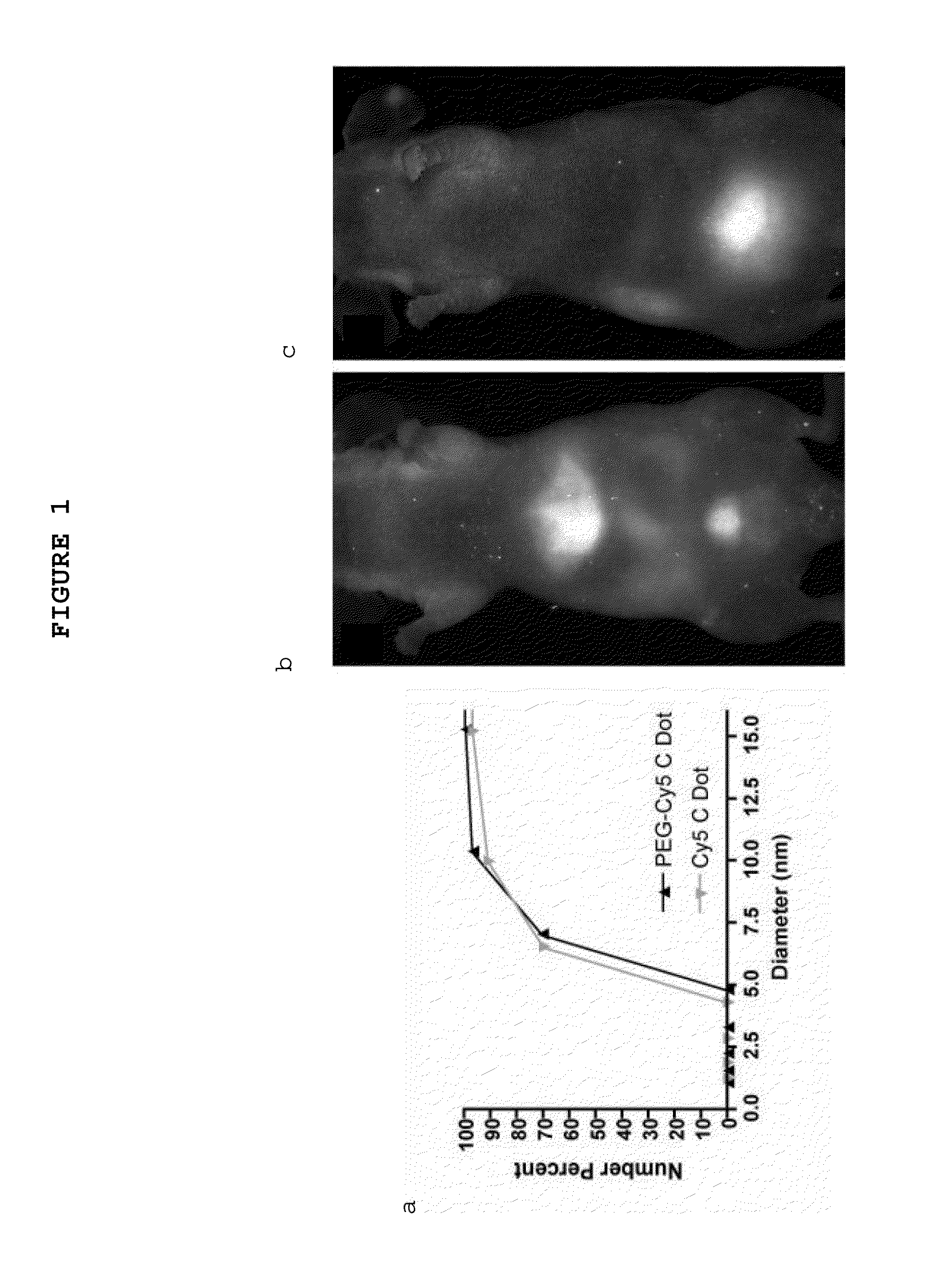 Multimodal silica-based nanoparticles