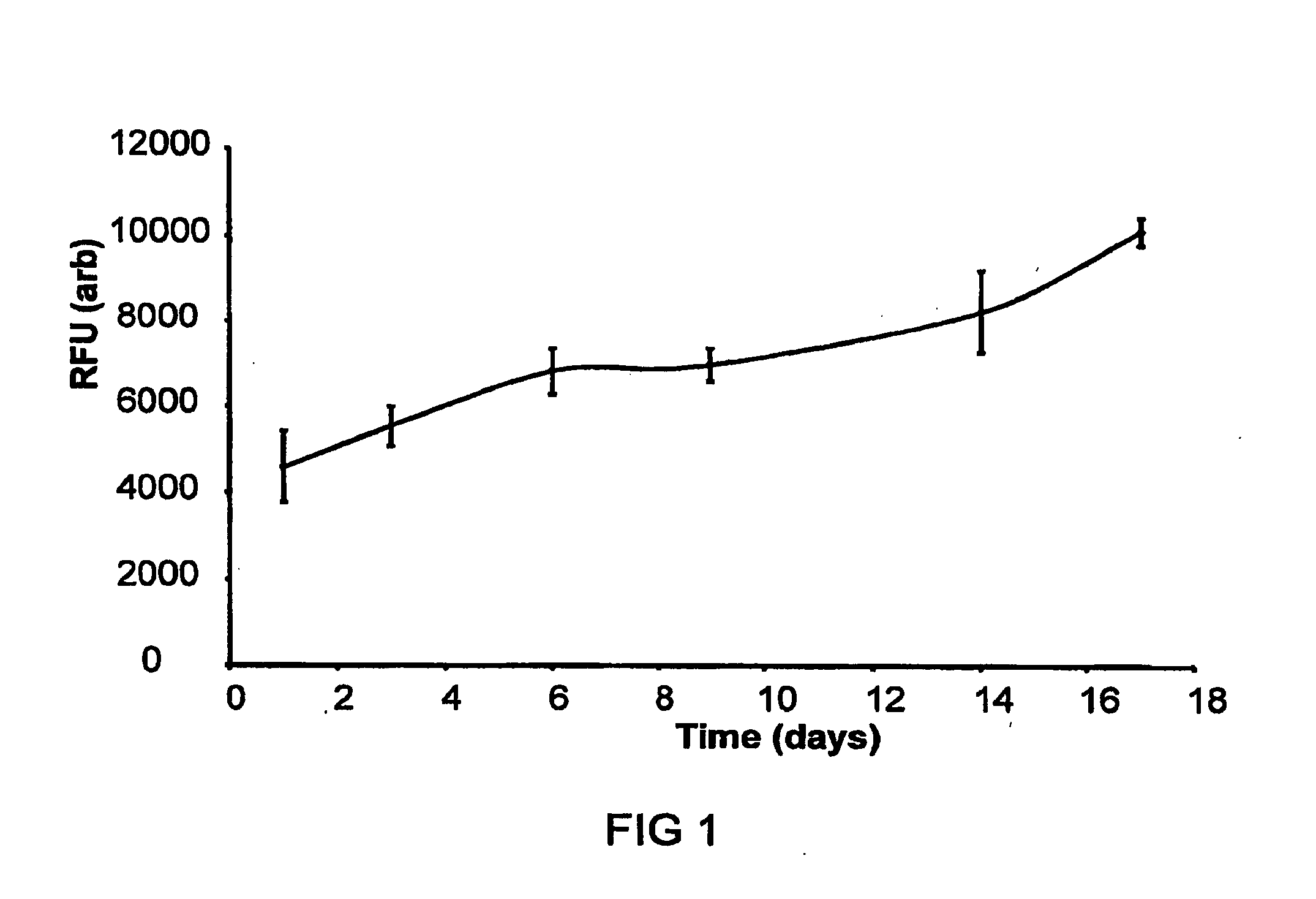 Porous Matrix