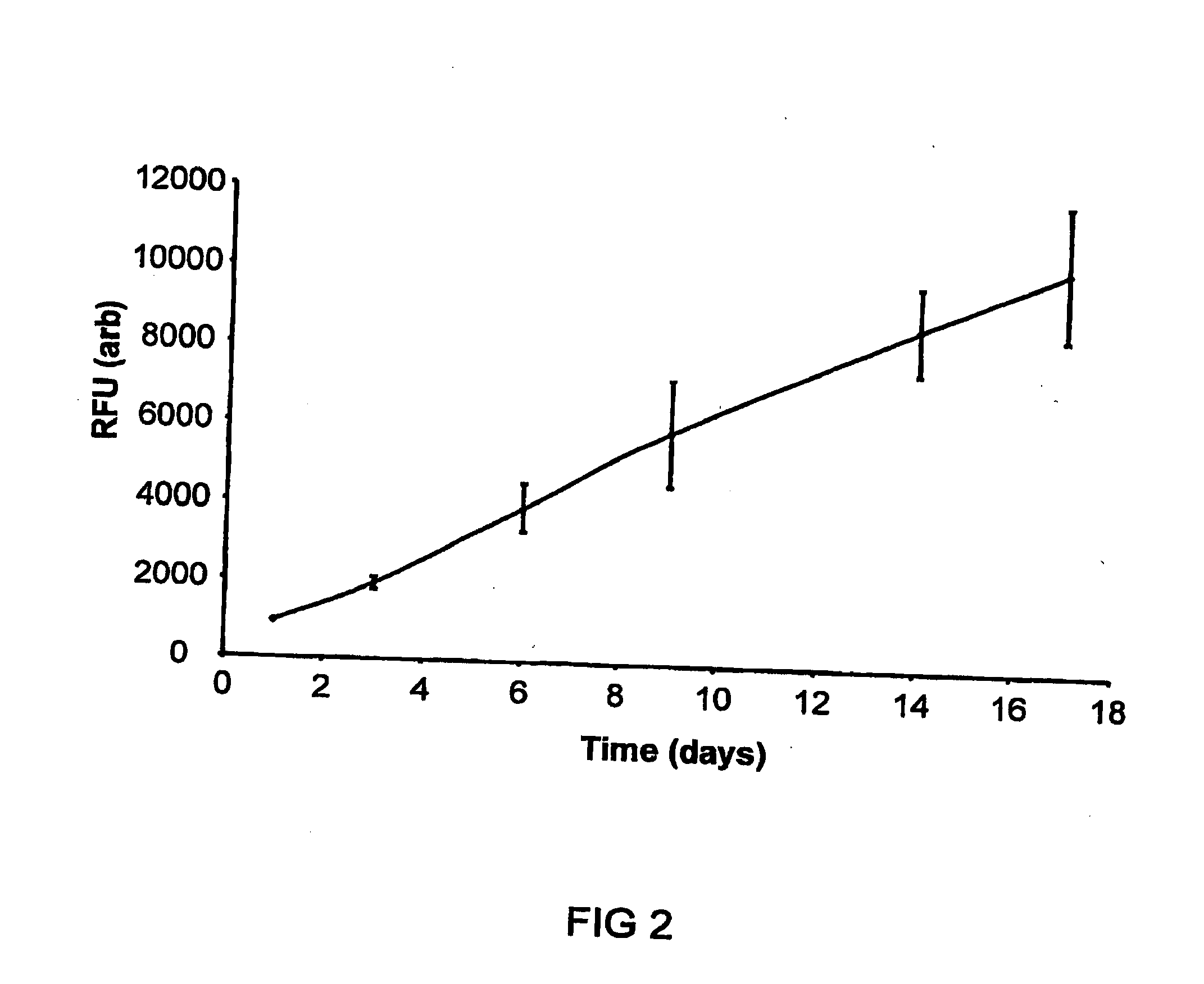 Porous Matrix