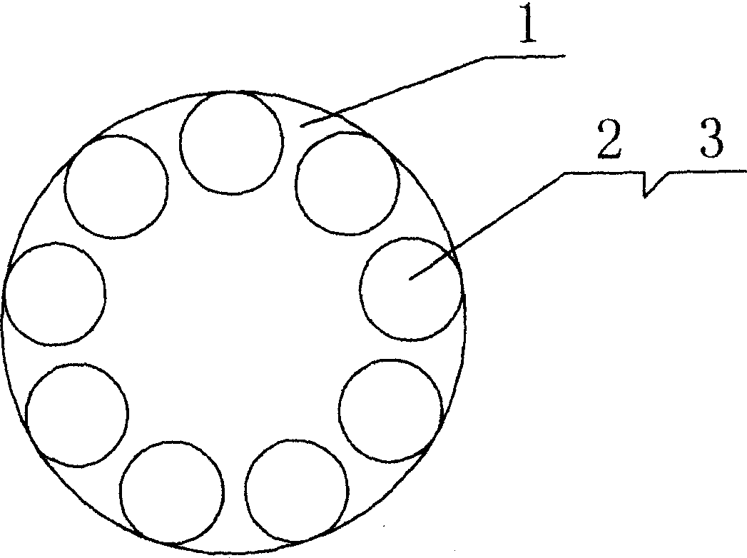 Production technology of dummy porcelain polished brick, and polishing and grinding device thereof