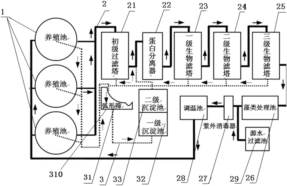 An ecological type seawater rare fish factory circulating aquaculture system