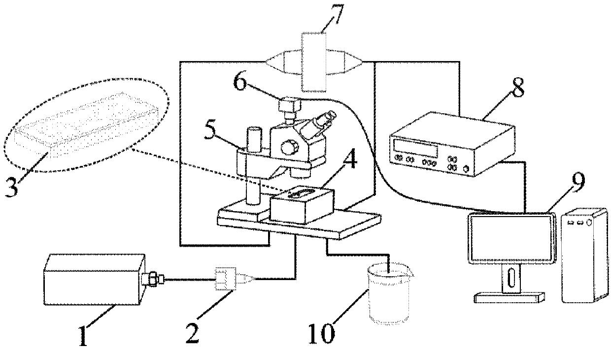 Measurement method for migration rule of pre-crosslinked gel particles in rock microscopic pore throat