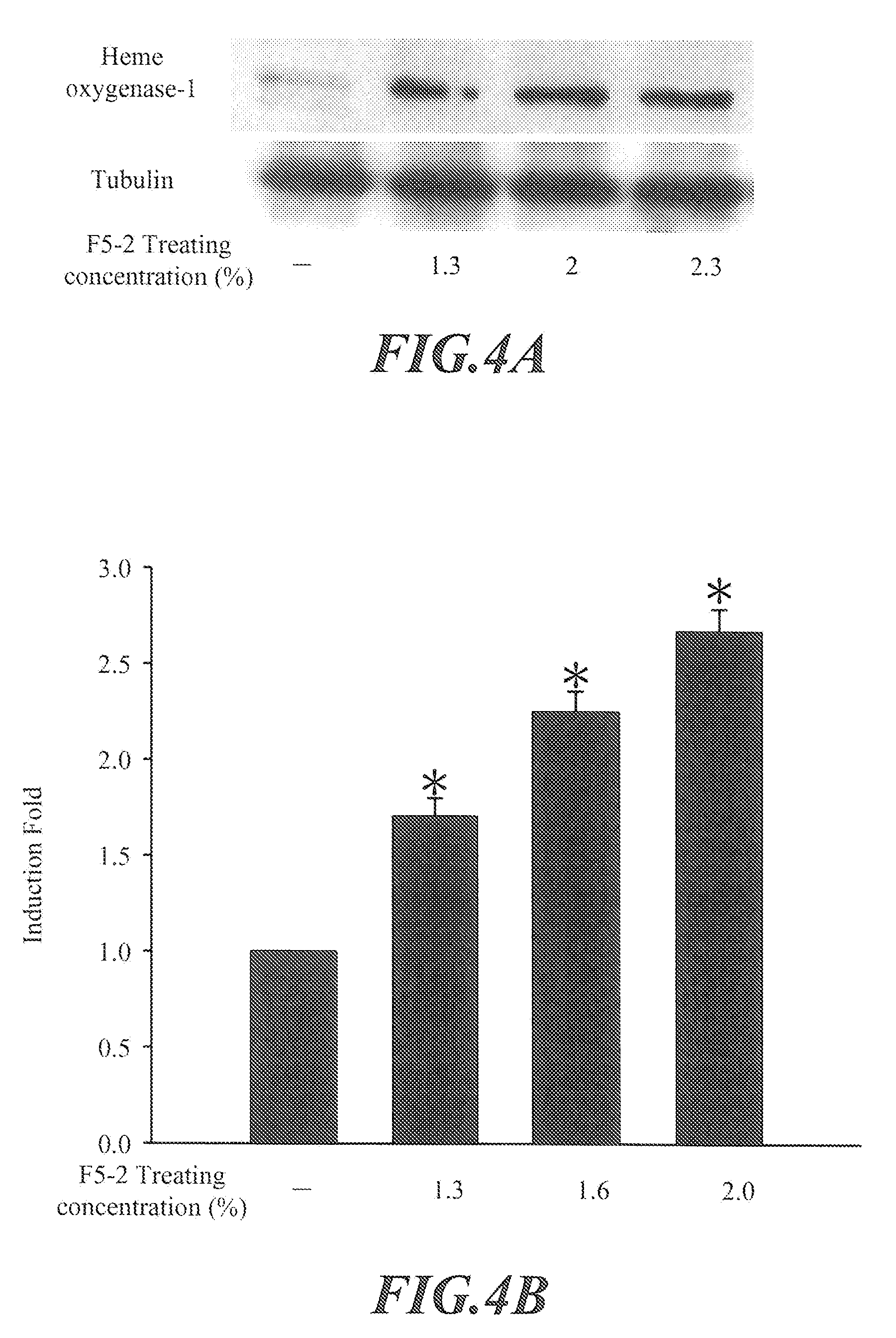 Ganoderma tsugae Active Substance Having Endothelial Cell-protecting and Atherosclerosis-preventing Effects, Process for Preparing the Same and Composition Containing the Same