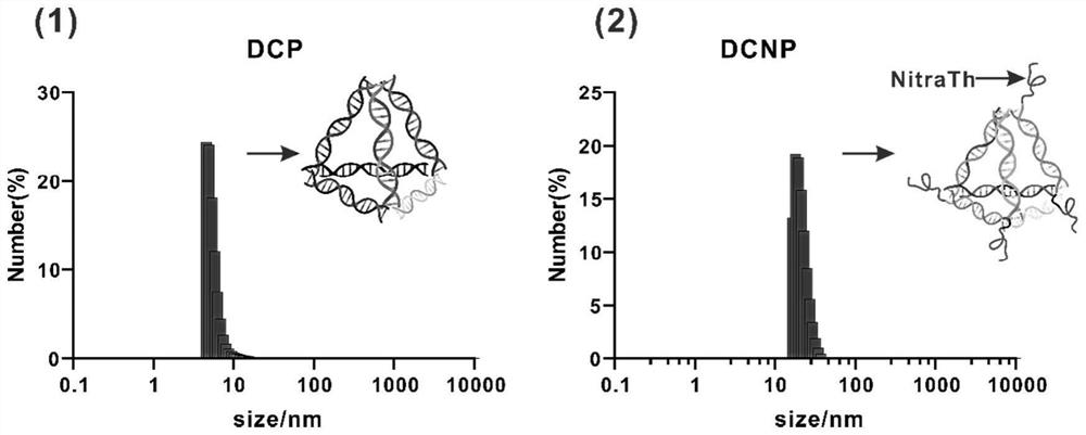 Self-assembled DNA tetrahedron and peptide vaccine delivery system