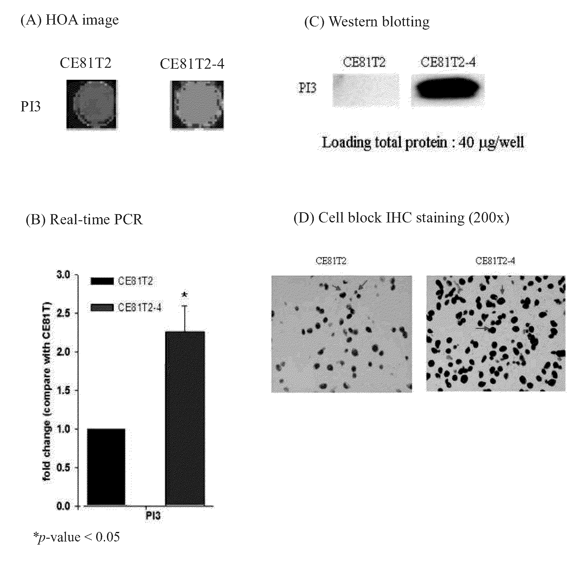 Method for predicting the survival status and prognosis of esophageal cancer and a kit thereof