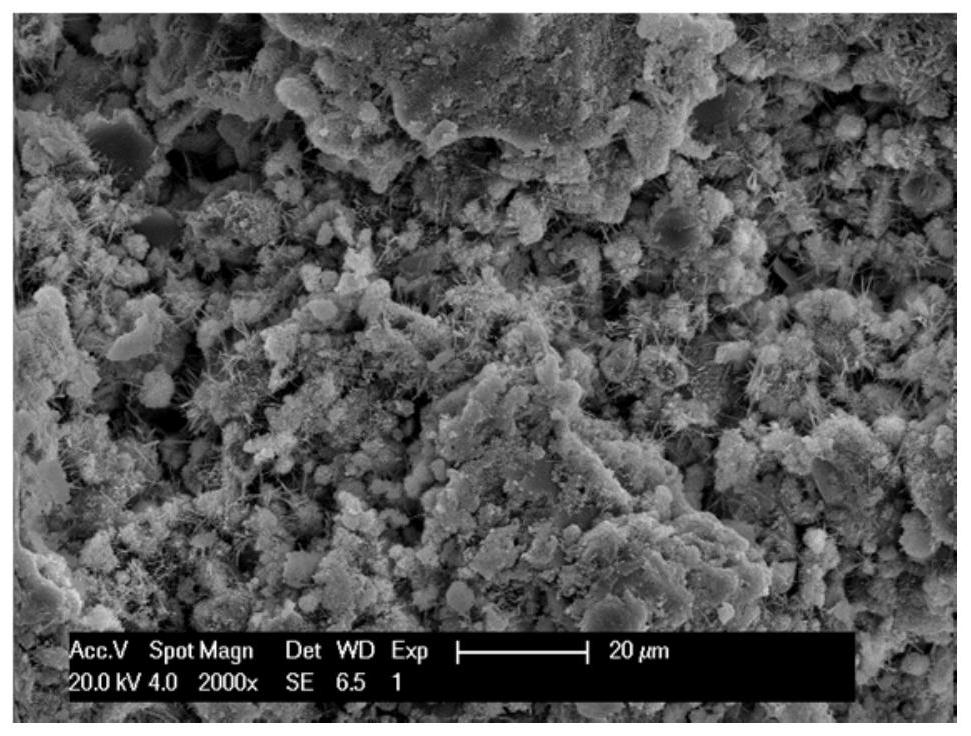 A kind of superhydrophobic cement and its preparation method and application