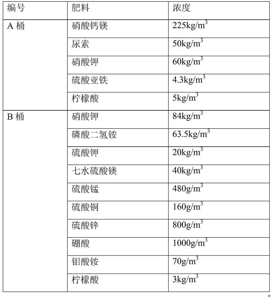 Planting method for prolonging marketing time span of Keren grapes