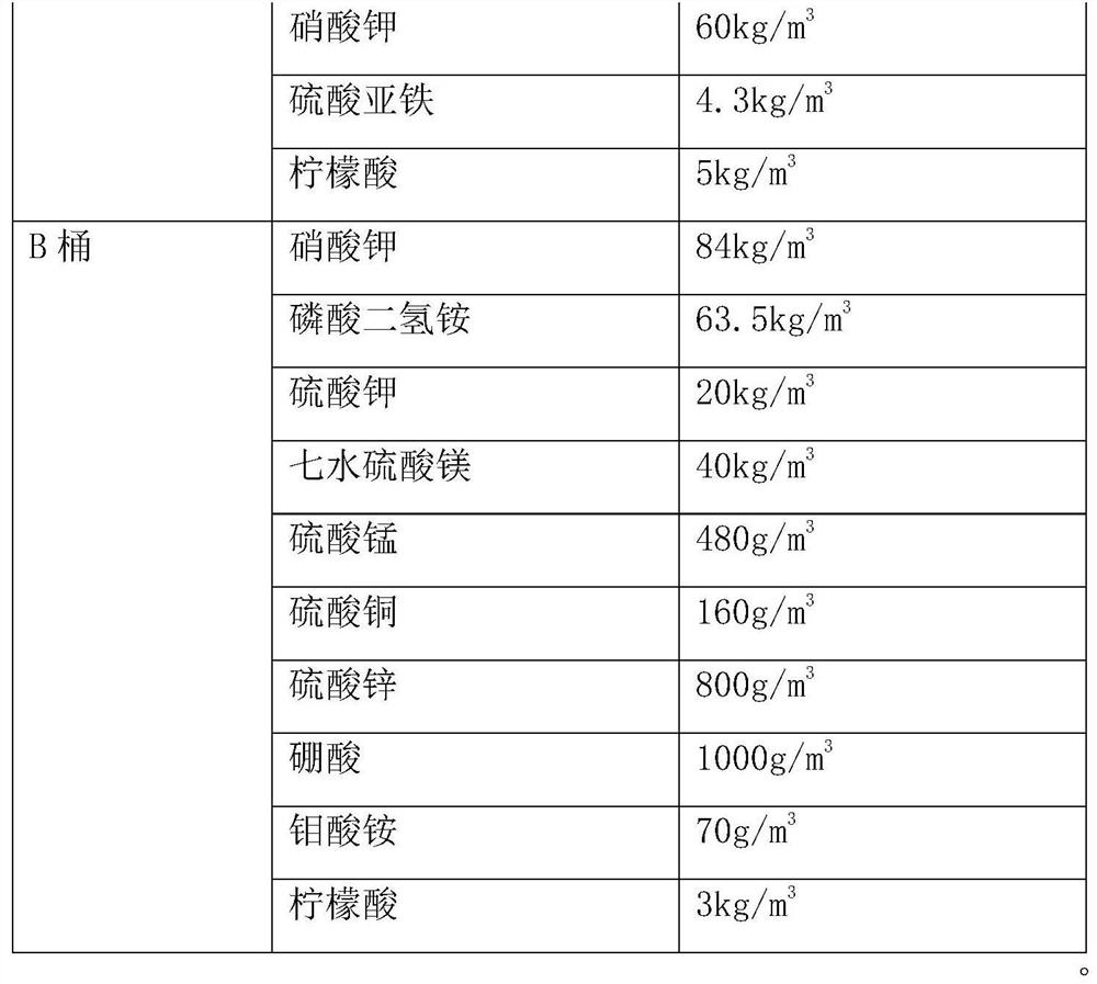 Planting method for prolonging marketing time span of Keren grapes