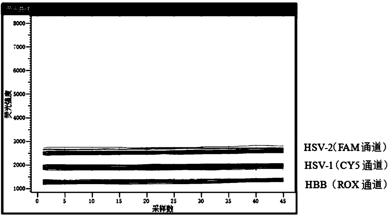 Detection marker, primer probe pair, kit and detection method for herpesvirus hominis I type and II type