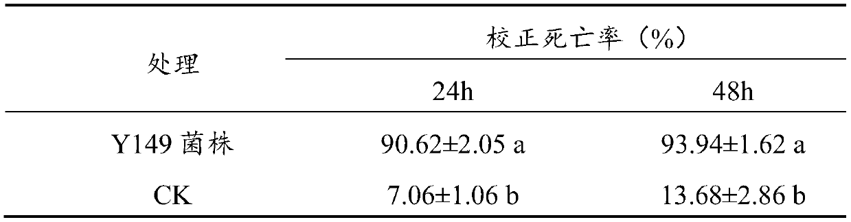 A bacterial strain for preventing and controlling plant nematodes and its application