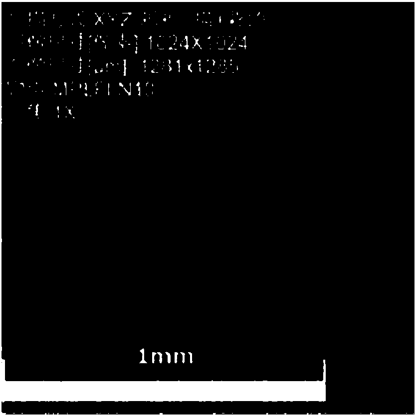 Method for complexly treating 5CrMnMo hot work die steel