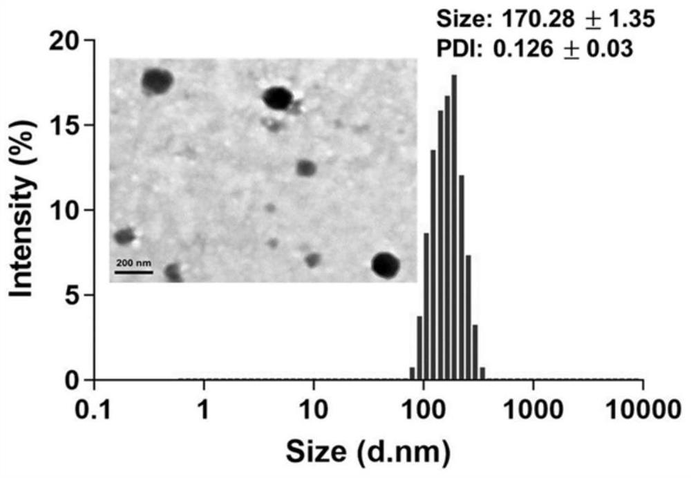 Multifunctional nano-carrier with drug resistance and hypoxia/glutathione dual responsiveness and preparation method and application thereof