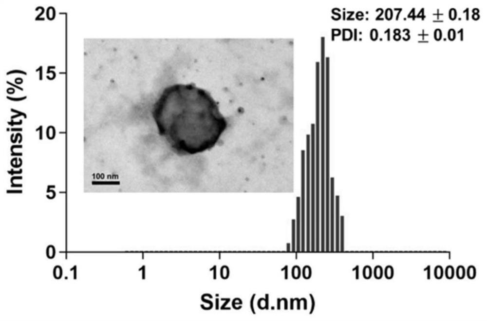 Multifunctional nano-carrier with drug resistance and hypoxia/glutathione dual responsiveness and preparation method and application thereof