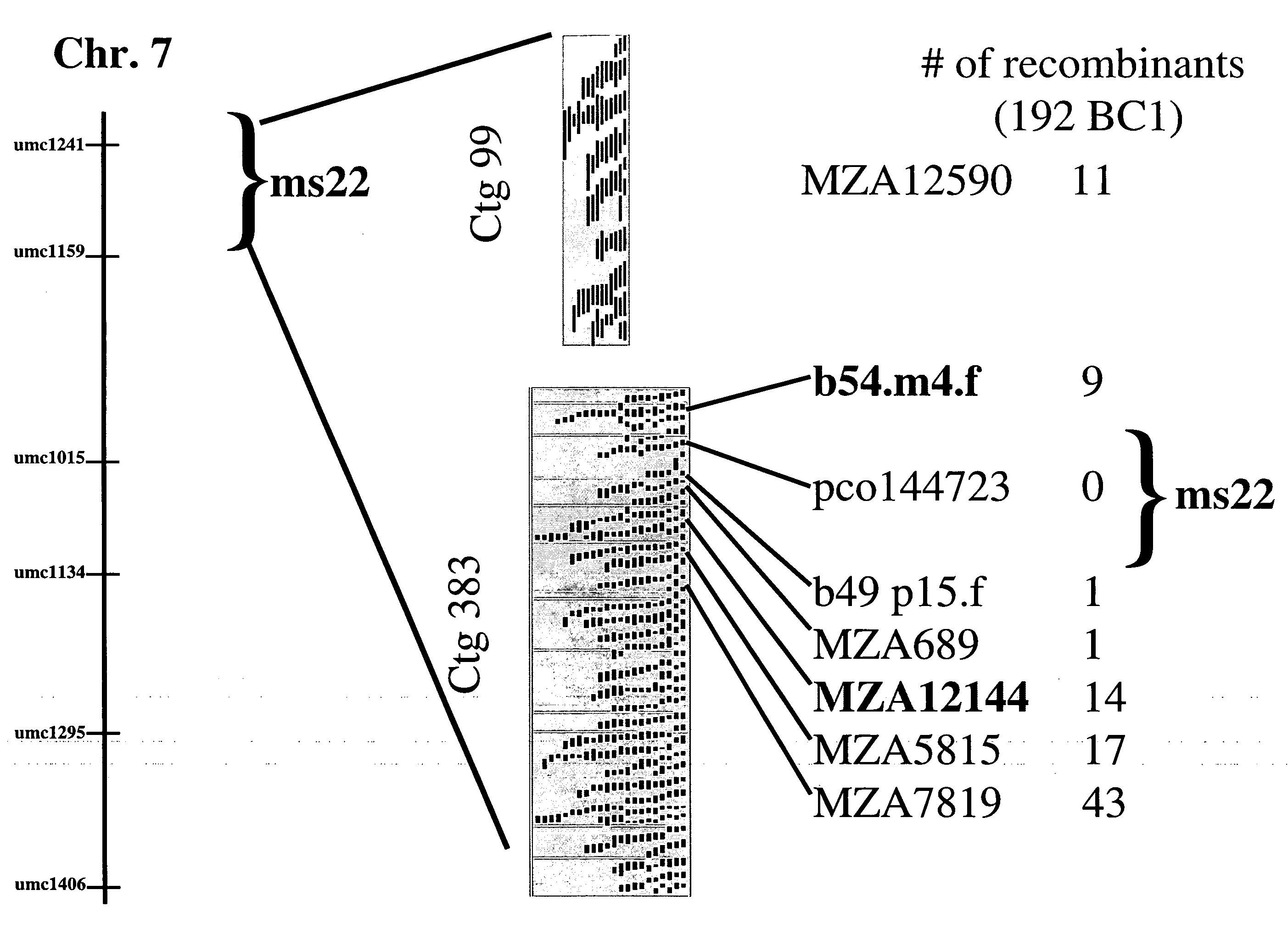 Msca1 nucleotide sequences impacting plant male fertility and method of using same