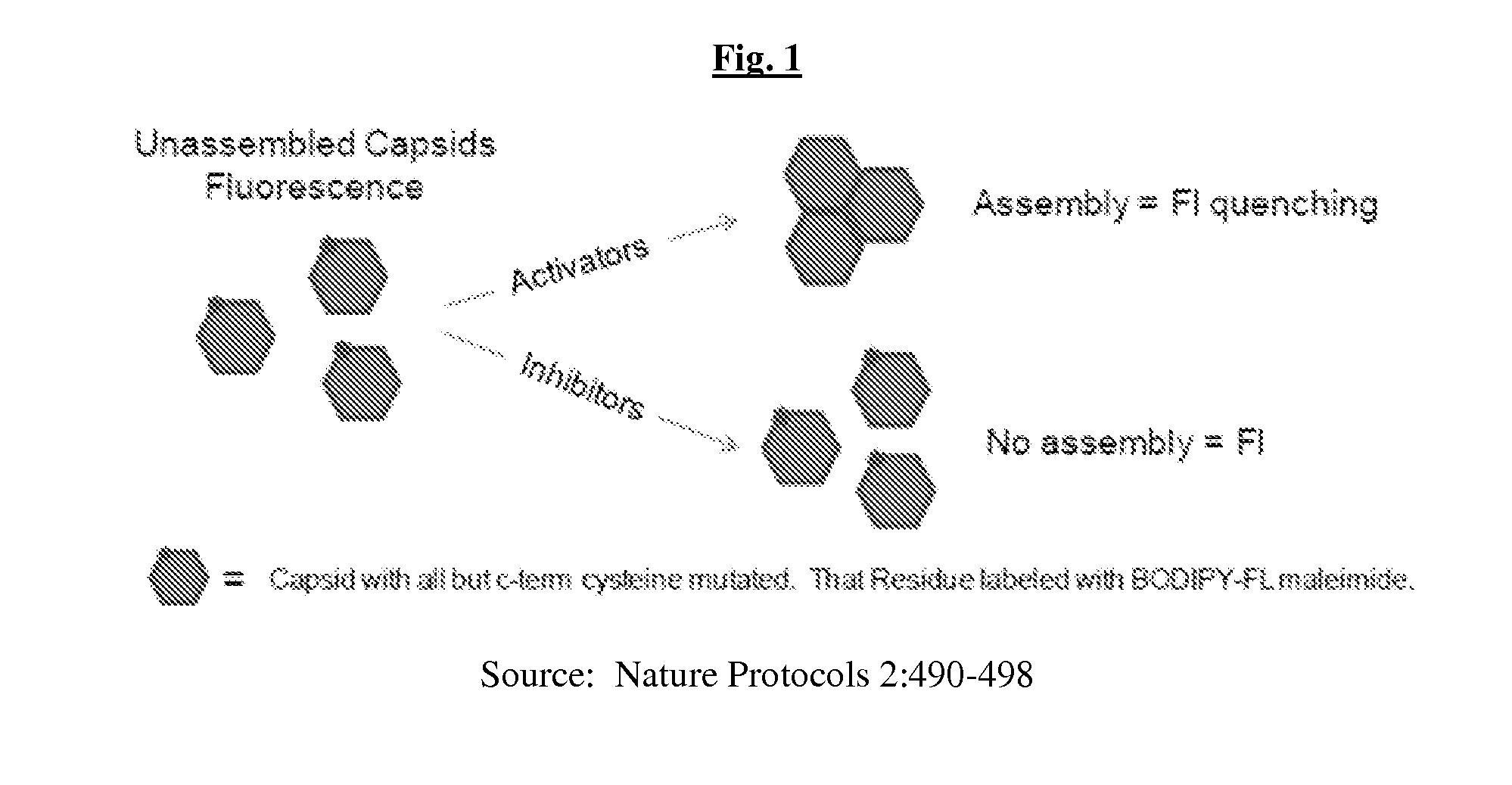 Hepatitis b antiviral agents