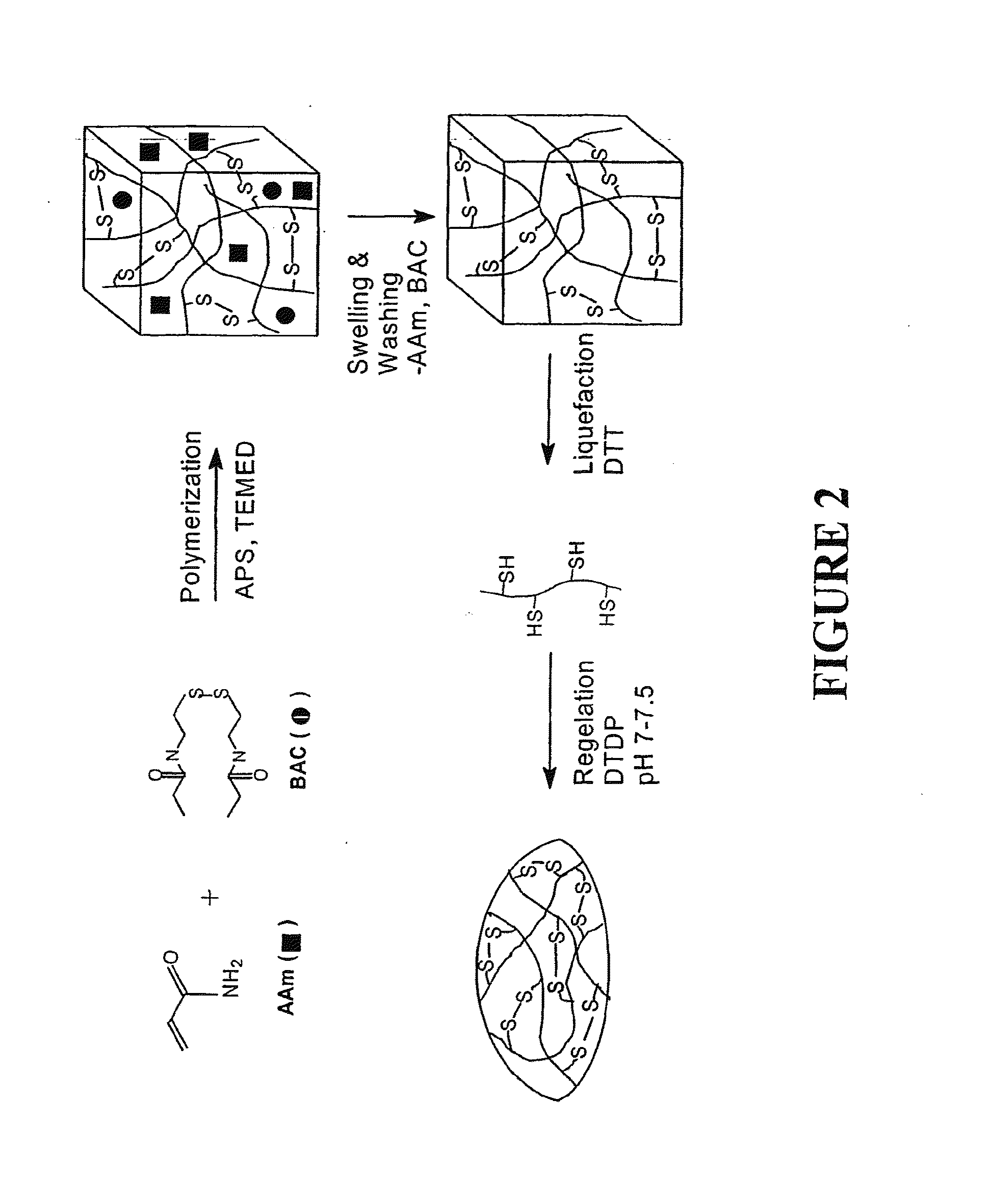 Hydrogel nanocomposites for intraocular lens applicatons