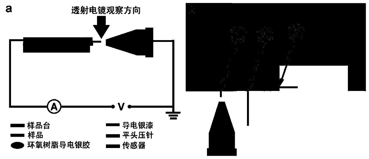 One-dimensional material transmission electron microscopy force-electric coupling in-situ test method