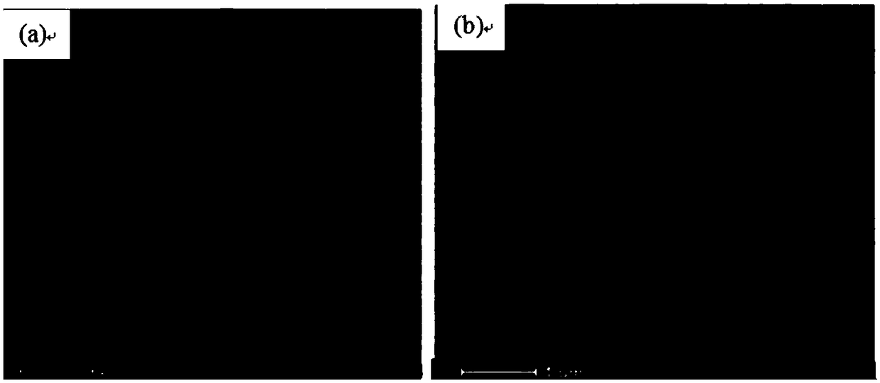 Immune PCR detection method based on functional graphene oxide and application of immune PCR detection method