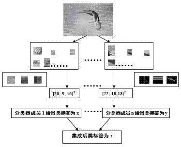 Object type identification method combining plurality of interest point testers