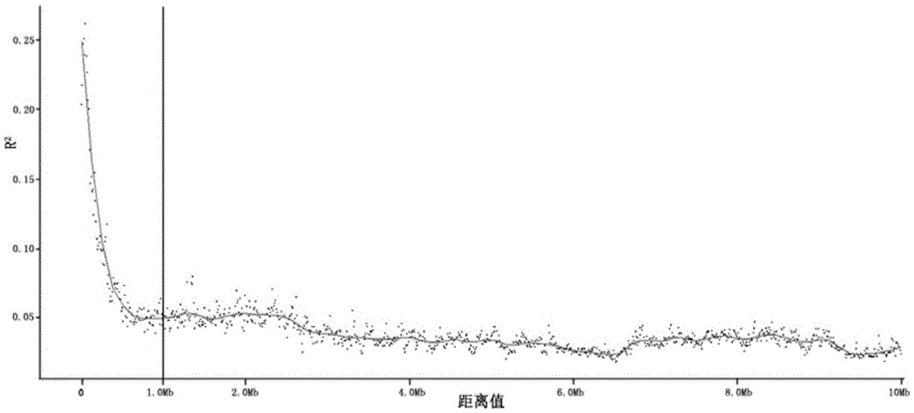 Method for identifying rice DNA identities and application thereof