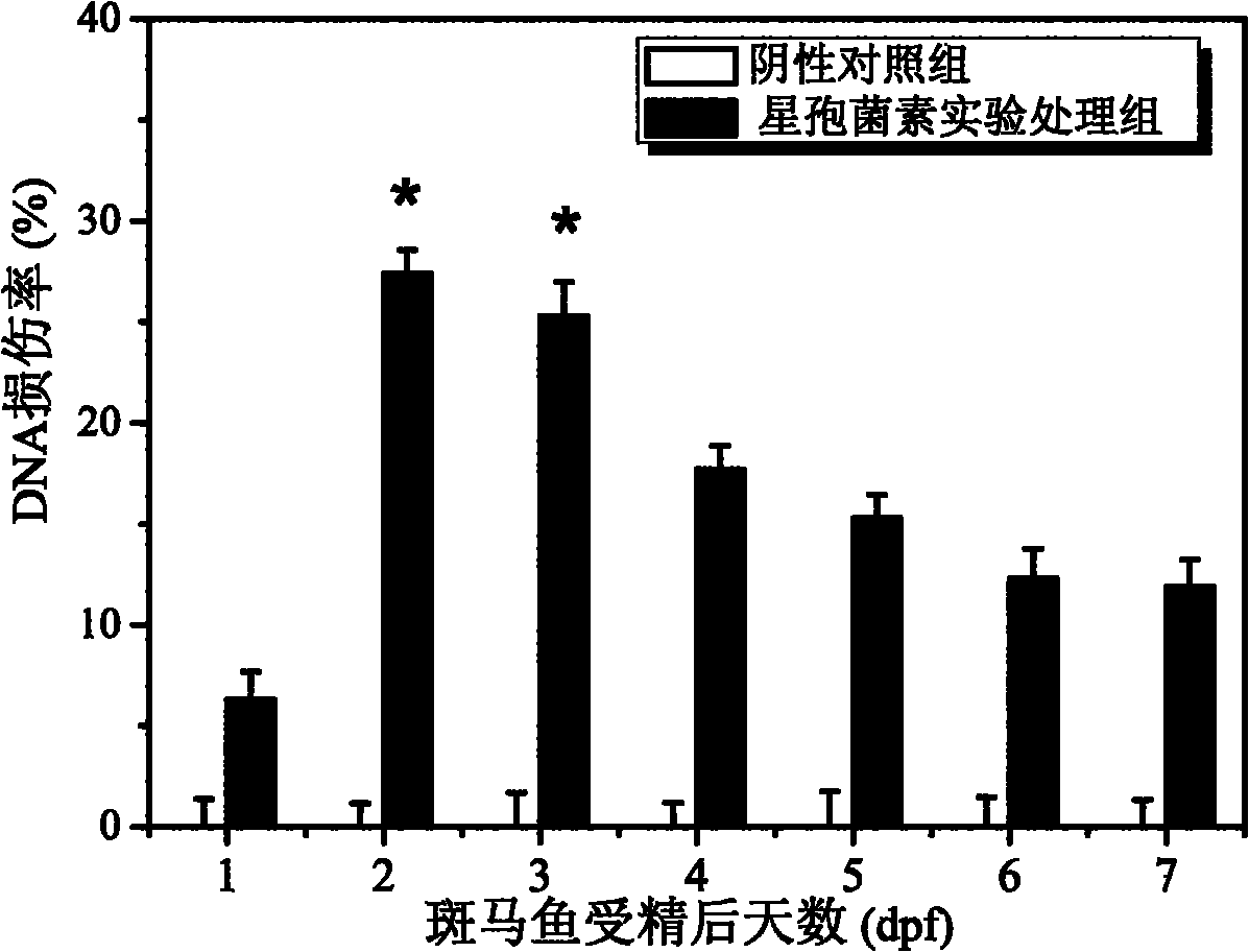 Method for carrying out enzyme-linked immunoadsorption detection on integral zebra fish and application thereof