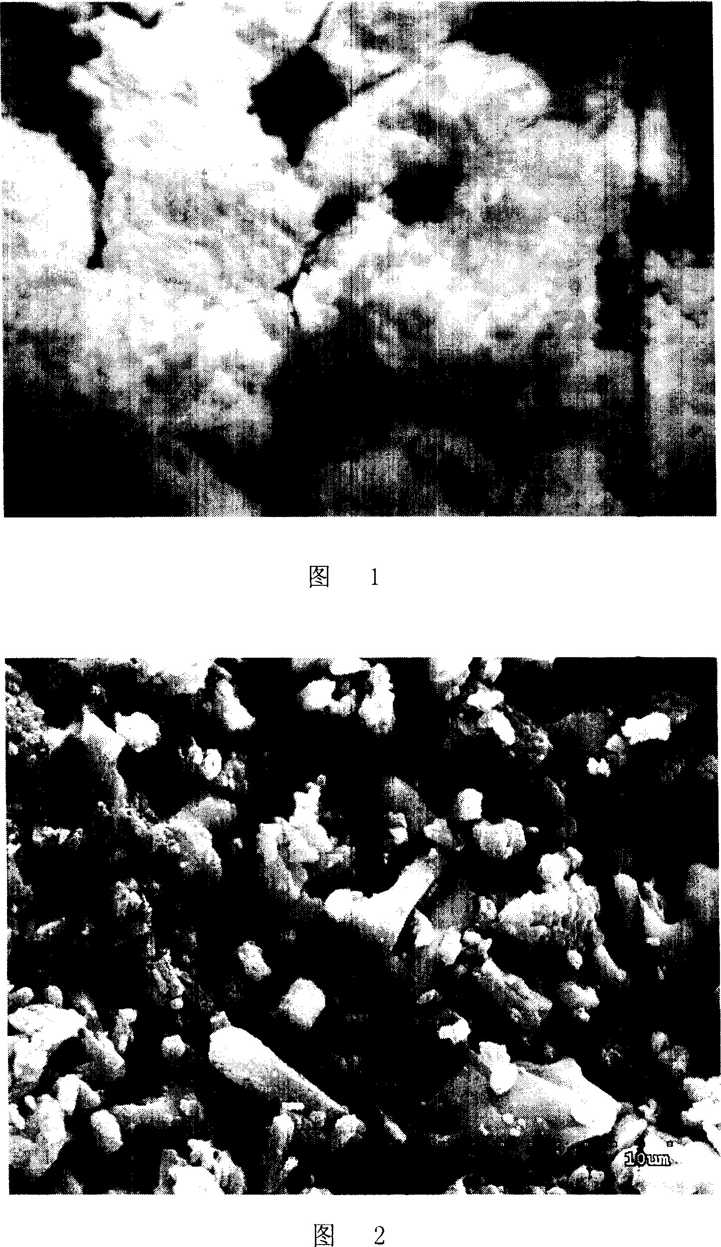 New-type of inorganic bone grafting material and its prepn and use