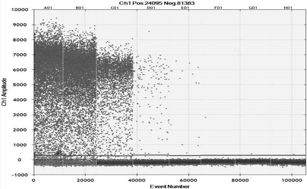 Method and kit for detecting xanthomonas oryzae pv. oryzae by use of digital-PCR (polymerase chain reaction)