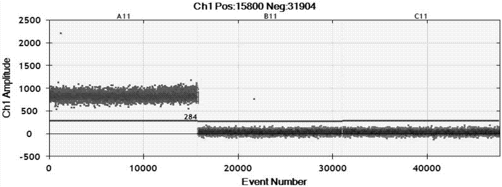 Method and kit for detecting xanthomonas oryzae pv. oryzae by use of digital-PCR (polymerase chain reaction)