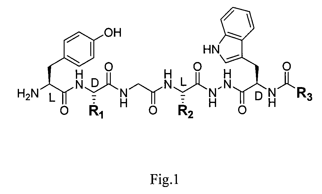 Method of producing a novel opioid peptide