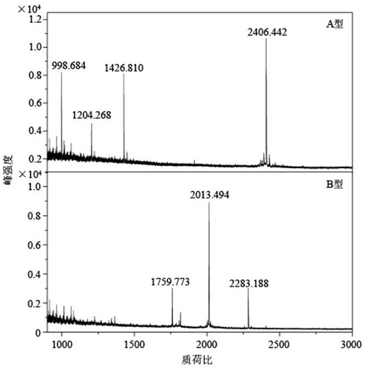 Botulinum toxin specific substrate peptide, detection kit and detection method