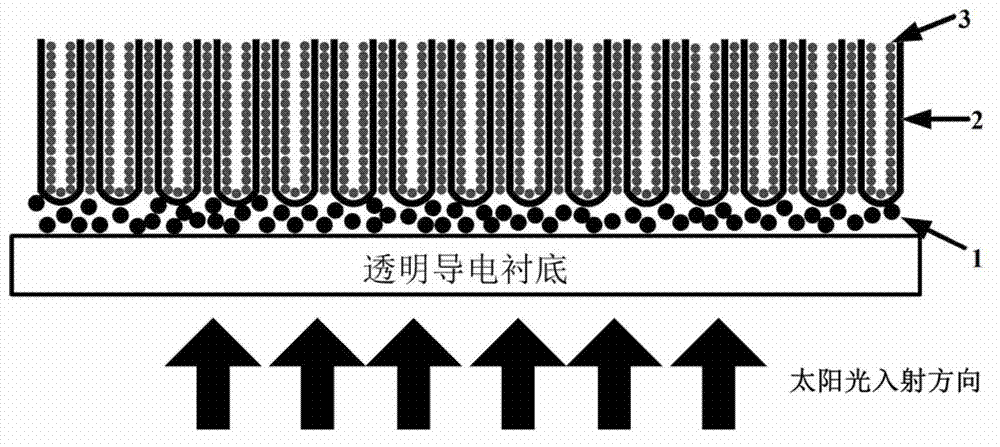 Method for preparing transparent electrode based on titanium dioxide nanotubes