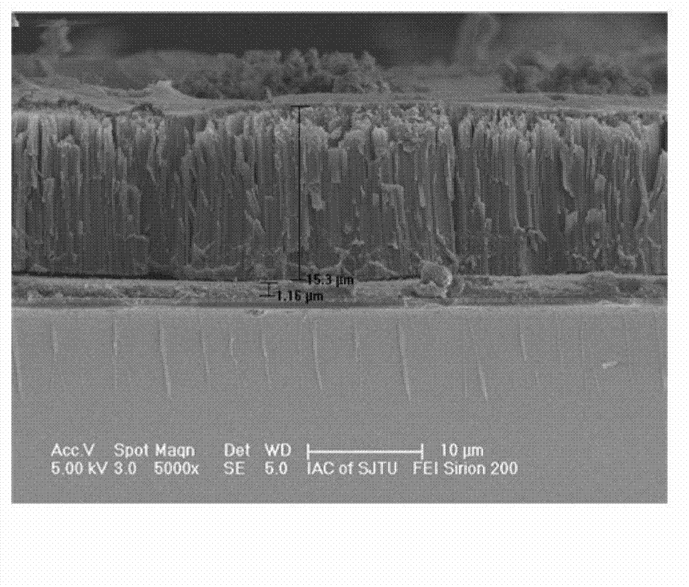 Method for preparing transparent electrode based on titanium dioxide nanotubes