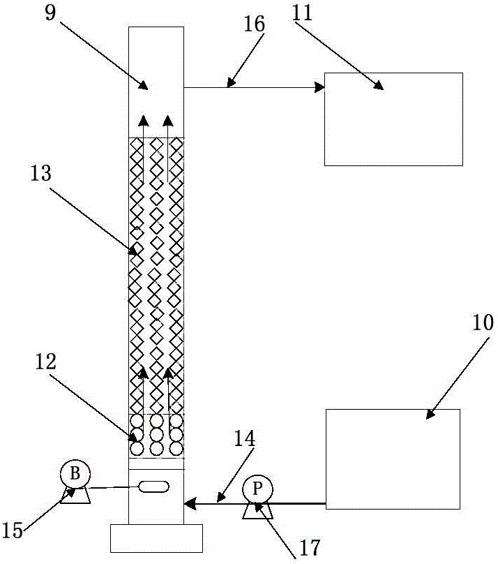 Nitrogen removal biological filter device and its application in the treatment of slightly polluted source water