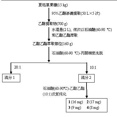 Triterpene compound and application thereof in preparation of anti-complementary medicament