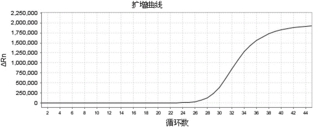 Primer and probe for direct fluorescence RT-PCR detection on typing of foot-and-mouth disease viruses and kit