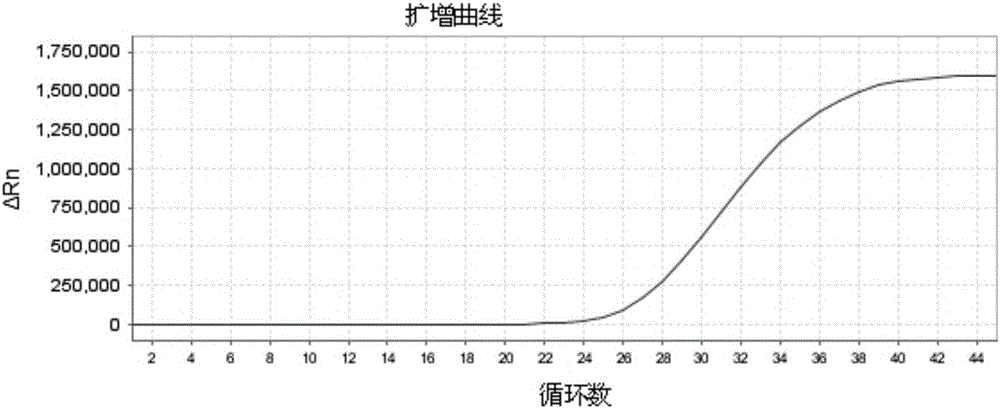 Primer and probe for direct fluorescence RT-PCR detection on typing of foot-and-mouth disease viruses and kit