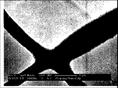 Preparation method of nanofibrous membrane with core/shell structure loaded with traditional Chinese medicine asiaticoside and application in wound dressing