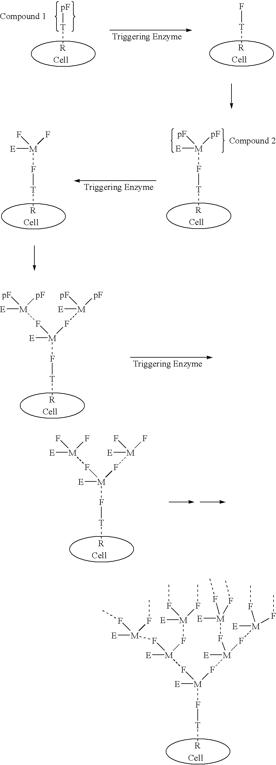 Exponential pattern recognition based cellular targeting, compositions, methods and anticancer applications