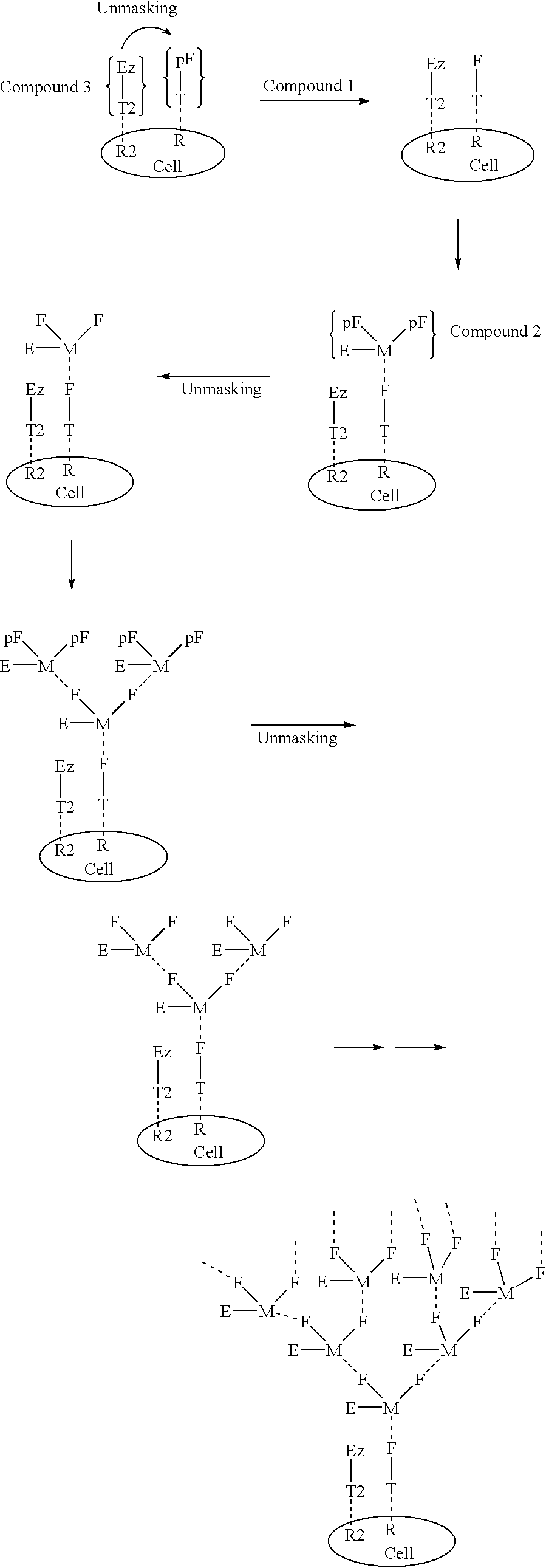 Exponential pattern recognition based cellular targeting, compositions, methods and anticancer applications