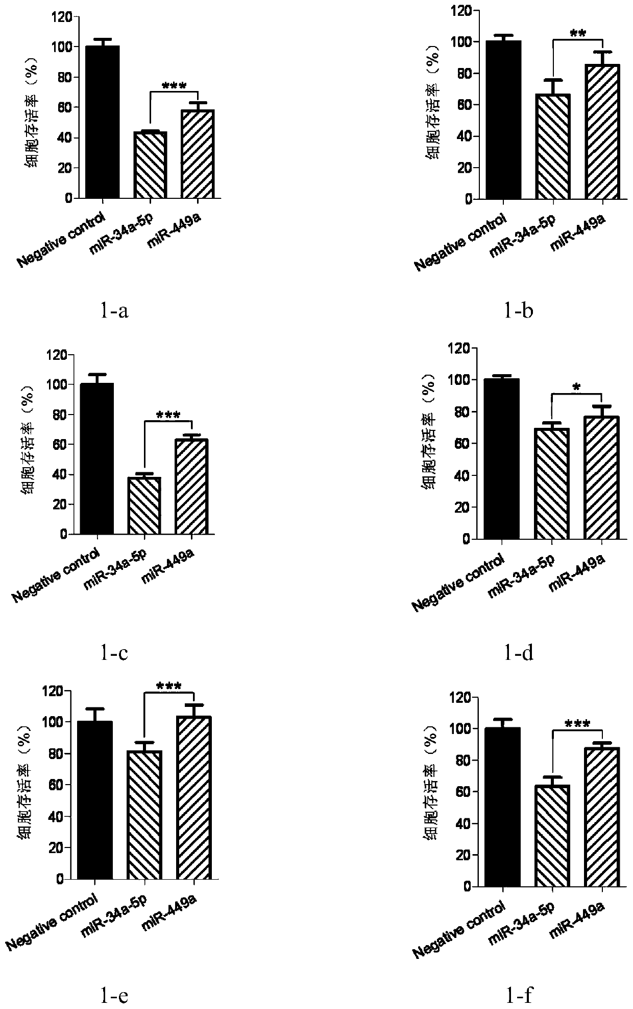 Micro RNA and its application in the preparation of antitumor drugs