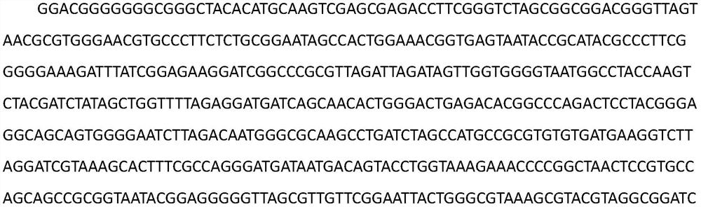 Use of sulfitobacterr sp. in inducing adhesion of young mytilus coruscus