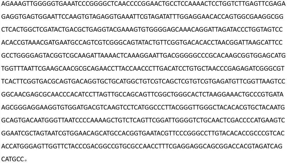 Use of sulfitobacterr sp. in inducing adhesion of young mytilus coruscus