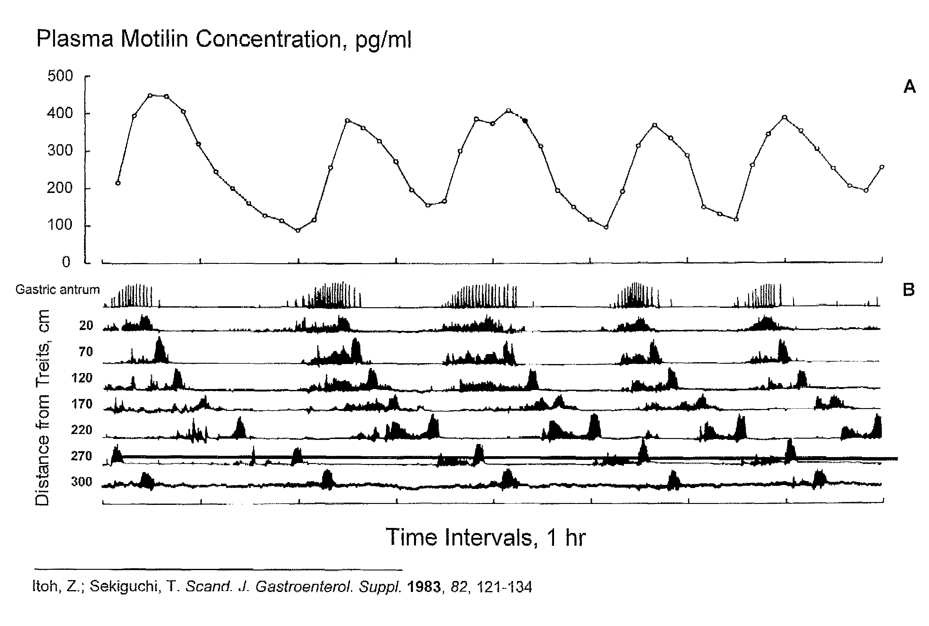 Macrocyclic antagonists of the motilin receptor for modulation of the migrating motor complex