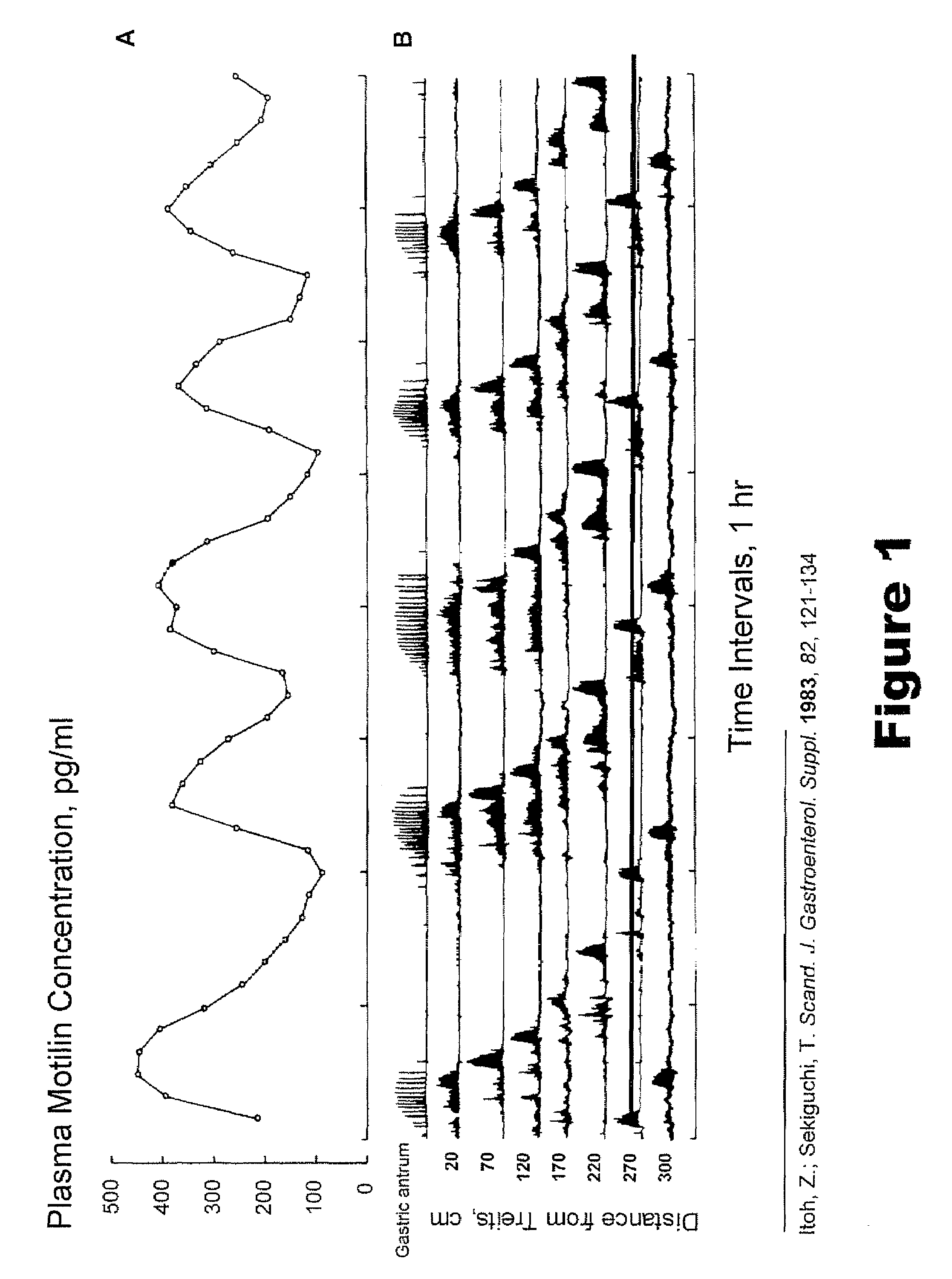 Macrocyclic antagonists of the motilin receptor for modulation of the migrating motor complex