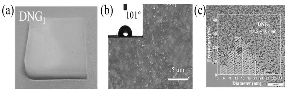 Silver nanoparticles and preparation method thereof capable of realizing controllable macroscopic quantity