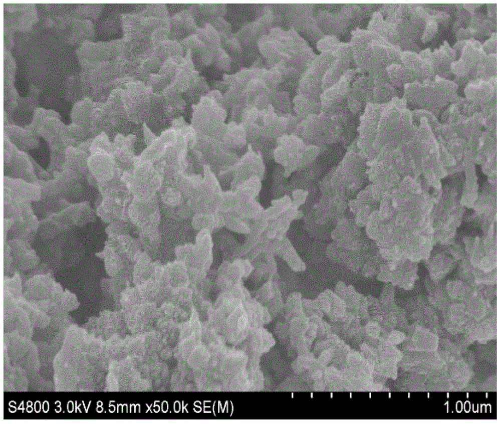 Method for preparing morphology-controlled conductive polyaniline film by using electrophoretic deposition