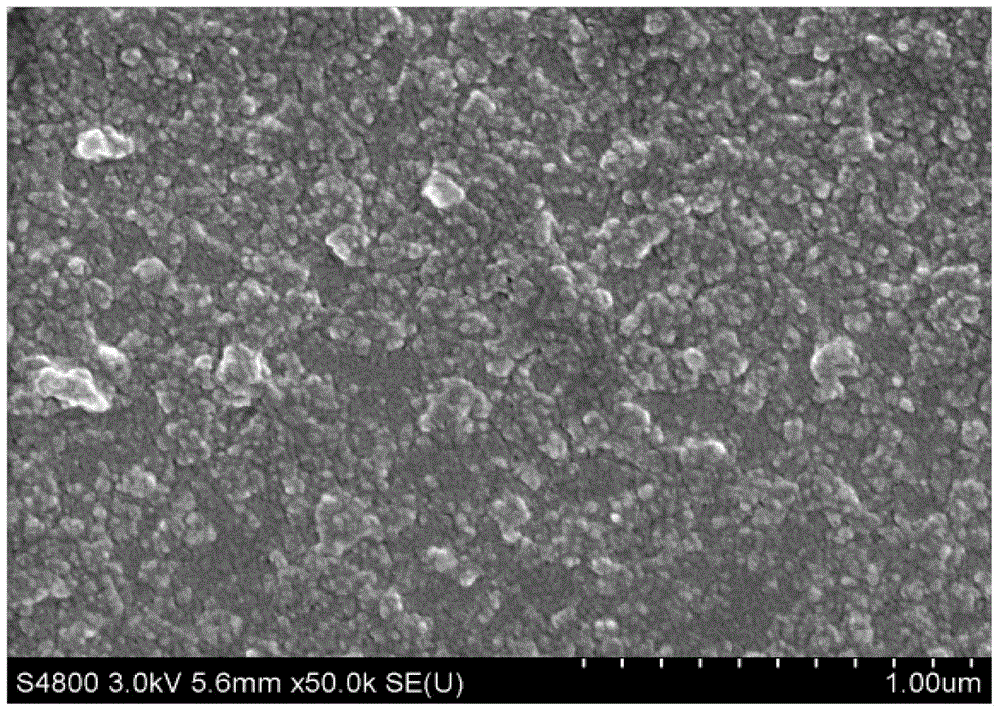 Method for preparing morphology-controlled conductive polyaniline film by using electrophoretic deposition