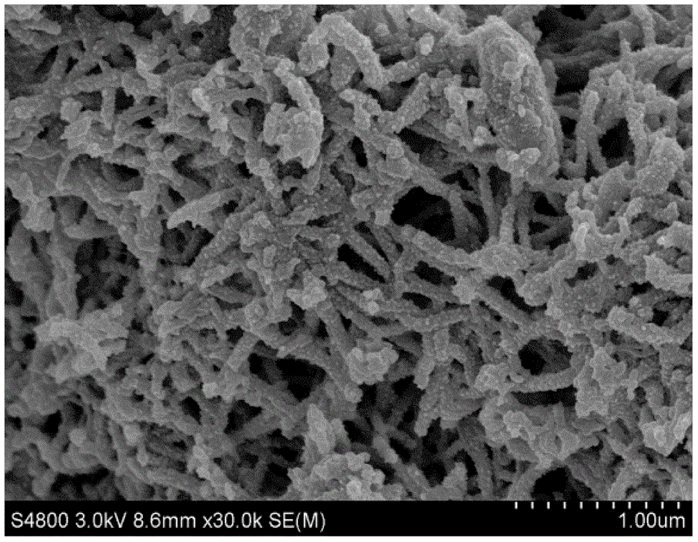 Method for preparing morphology-controlled conductive polyaniline film by using electrophoretic deposition