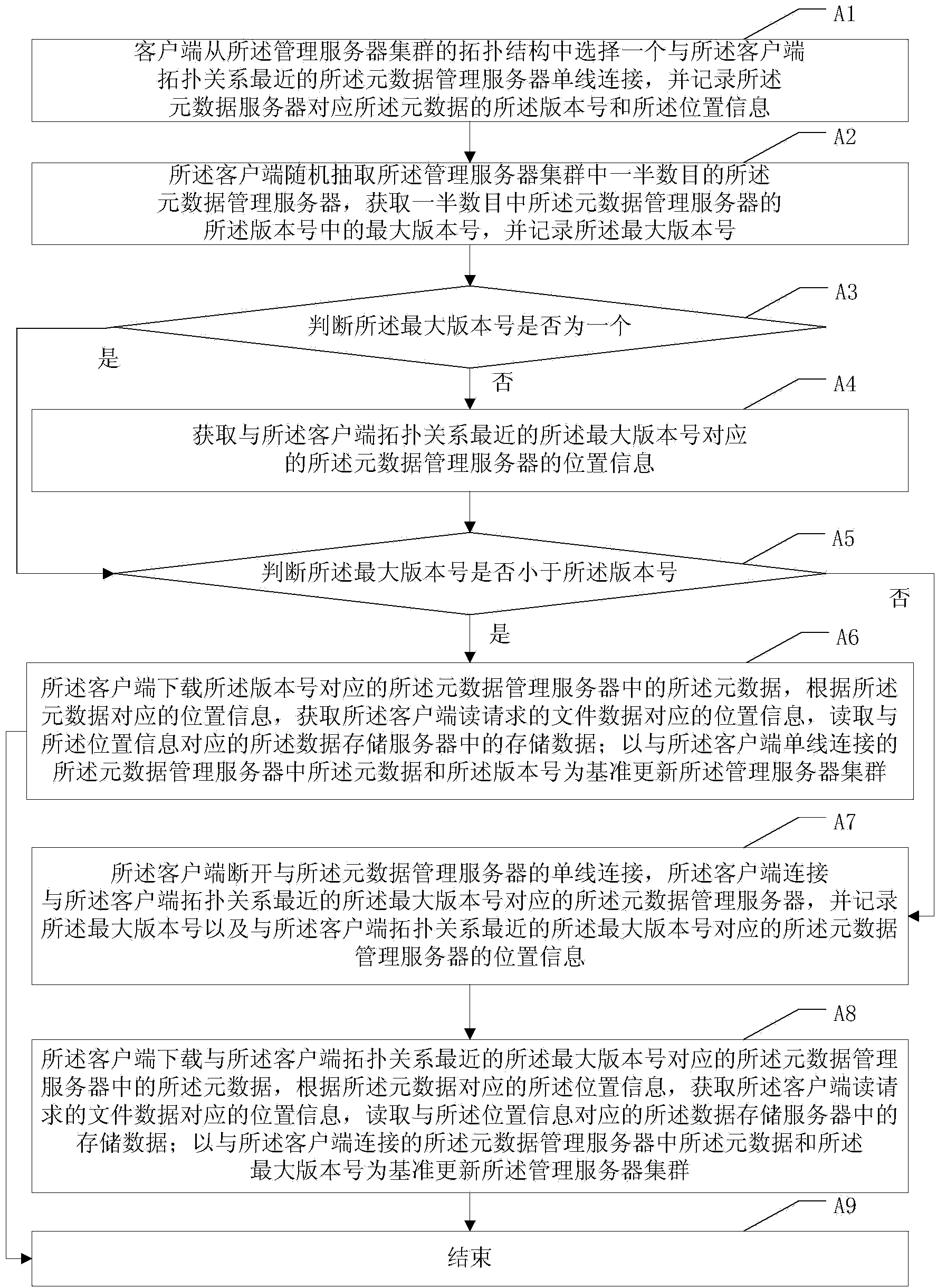 Metadata cluster distribution storage system and storage data reading and writing method