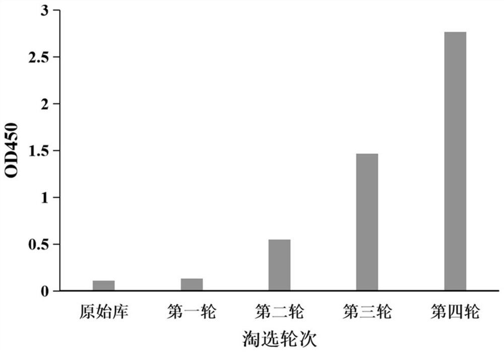 Anti-BCMA antibody or antigen binding fragment thereof as well as preparation method and application thereof